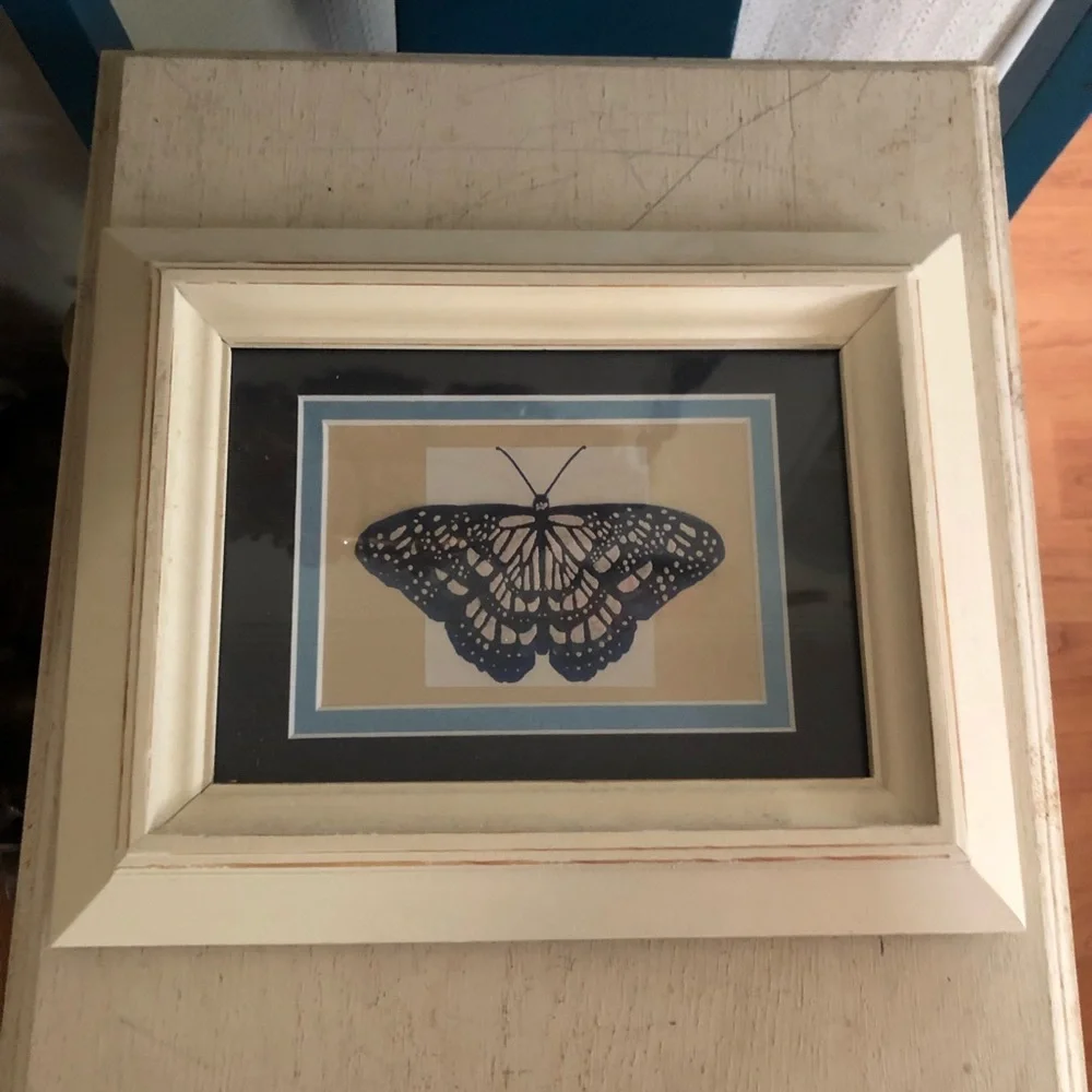 Framed Butterfly Print